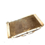 2004 Yamaha Rhino 660 OEM Radiator 5UG-E2461-00-00 XY3
