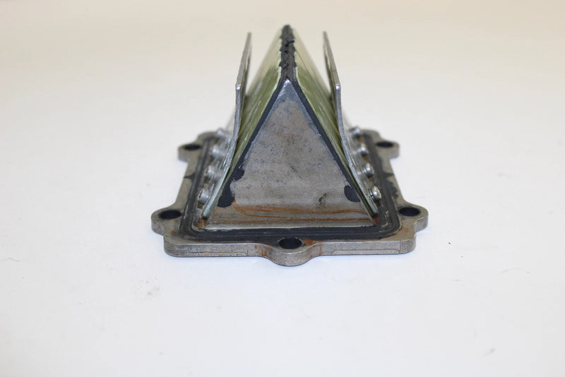 Polaris OEM Complete Stock Fuel Intake Reed Valve 1201689 Q1190