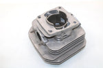 1989 Polaris Trail Boss 250 Oem Cylinder 72.5mm Bore 3083769 B496
