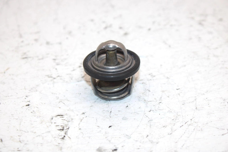 2005 Arctic Cat 500 4x4 Oem Thermostat 3413-012 AA1