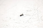 2001 Ski-doo Mxz 800 Oem PTO Side Set Screw 404161928 SS19