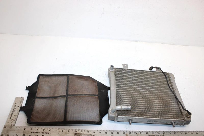 2001 Polaris Sportsman 500 Oem Radiator W/Screen 1240533 5433317 AP81