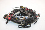 07 Arctic Cat Jaguar Z1 1100 Efi Oem Main Wire Harness 1686-375 SA301.1