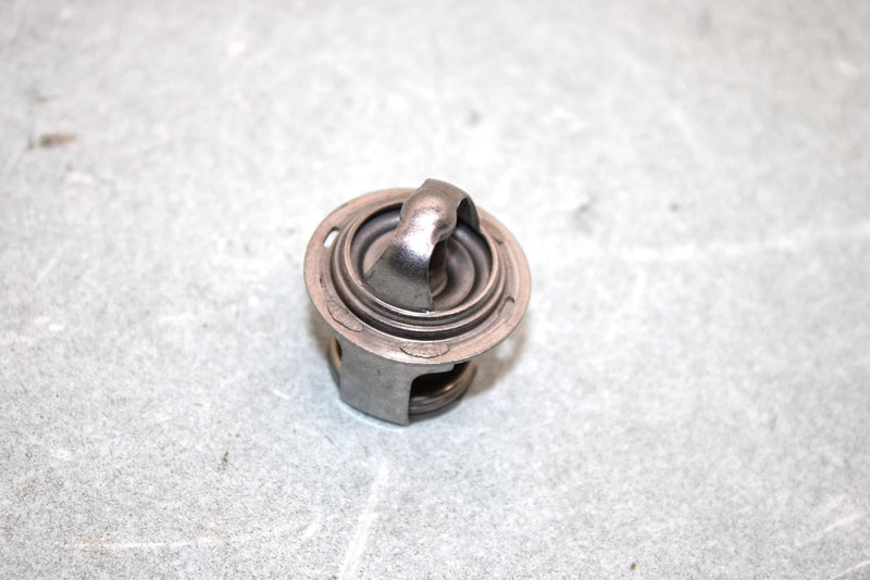 01 Arctic Cat 400 4x4 Oem Thermostat 3413-015 AA21