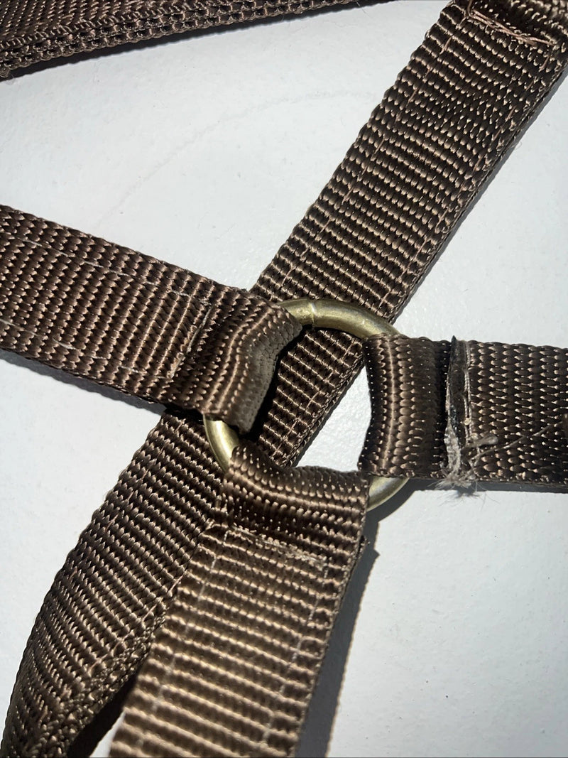 New Brown Nylon Full Horse Halter Gold Buckles NN-600
