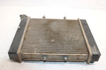 2005 Bombardier Rally 175 Oem Radiator A19100179000 AB8