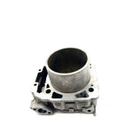 19-22 Can-Am Defender HD10 OEM 981mm Bore Rear Cylinder 420413116 XB0.3