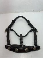 New Brown Leather Full Horse Show Halter Silver Buckles 3C-16