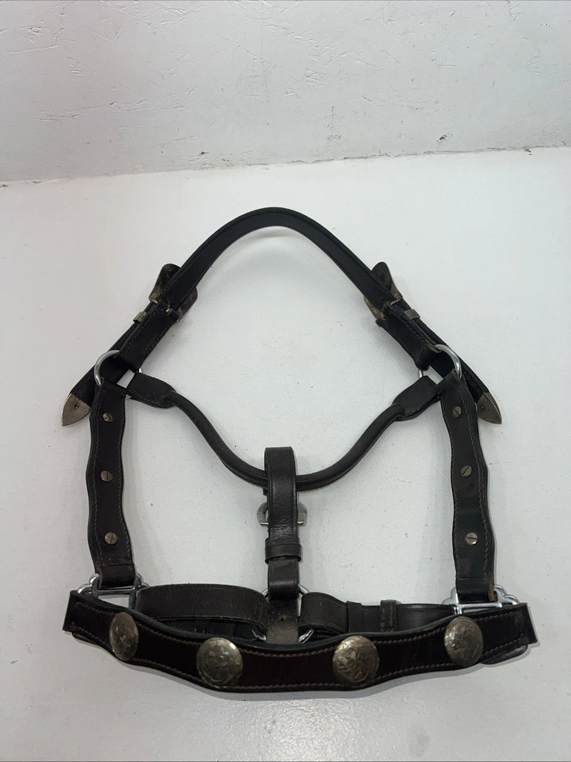New Brown Leather Full Horse Show Halter Silver Buckles 3C-16