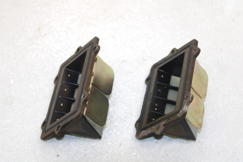 Polaris Oem Intake Reed Valve W/Stuffer (Pair) 1201825 Q1179