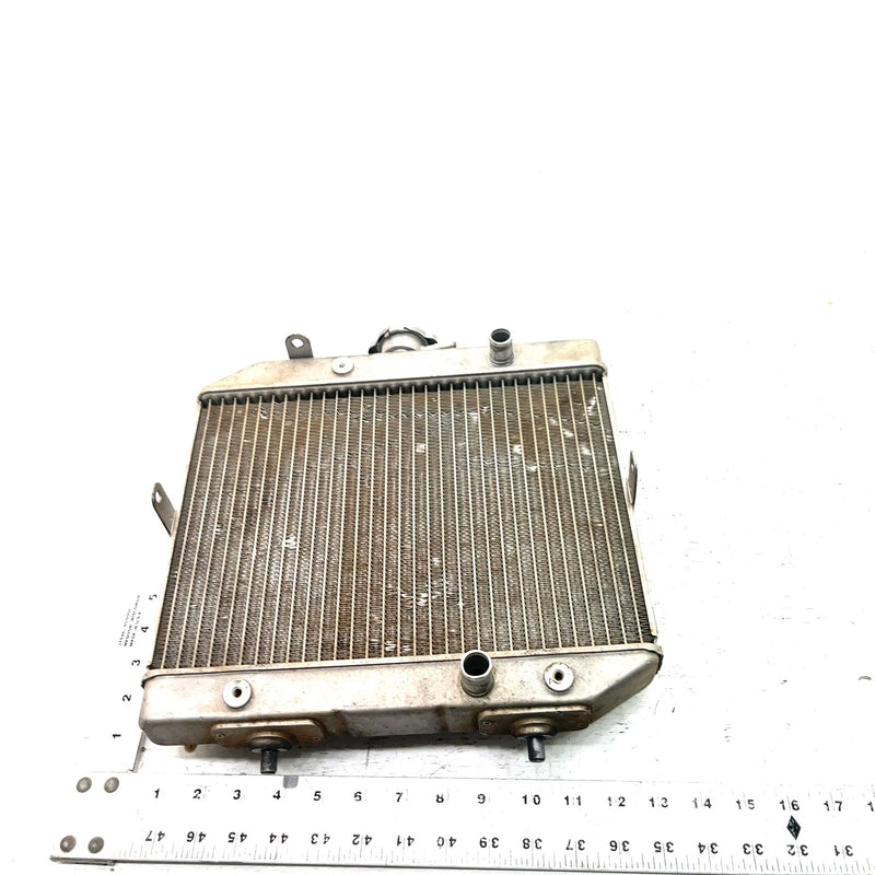 01-04 Honda Foreman Rubicon 500 TRX500FA 4x4 OEM Radiator  19010-HN2-505 AH93