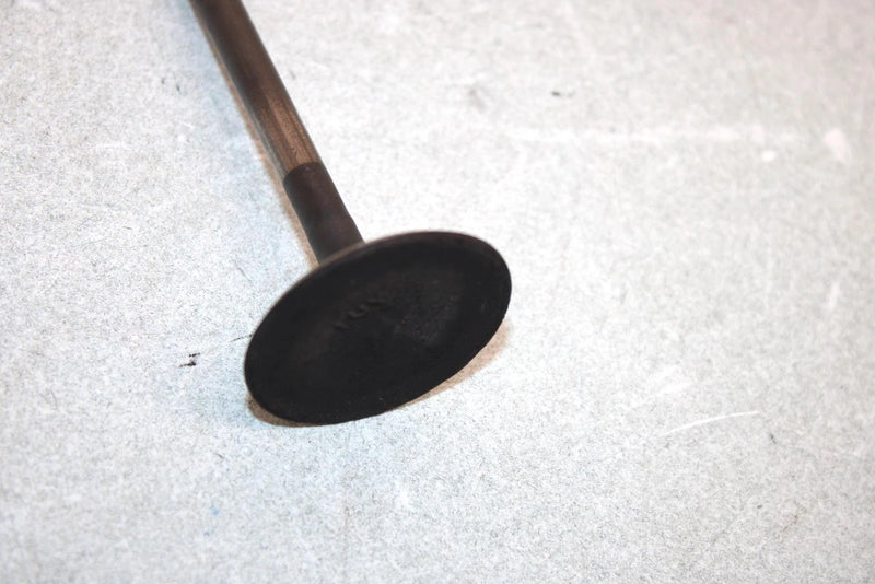 05 Yamaha  Bruin  4wd Hunter  Oem Intake Valve 1UY-12111-01-00 AY38
