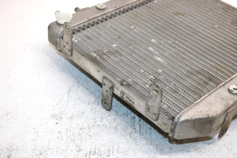 2004 Honda Fourtrax Foreman Rubicon Oem Radiator 19010-HN2-505 AH5