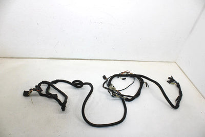 96 Polaris Xcr 440 Oem Main Engine Wiring Harness  2460484 SP187