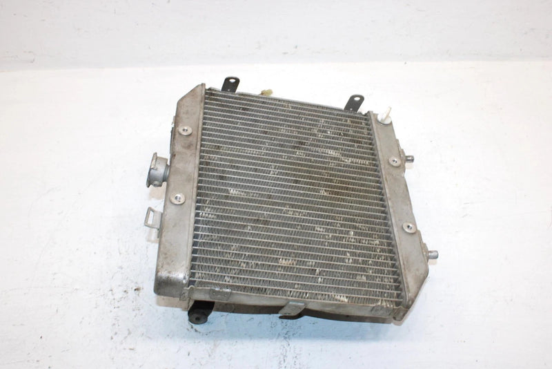 2001 Honda Trx 500 Faa Fourtrax Forman Oem Radiator Set 19030-HN2-013 AH56