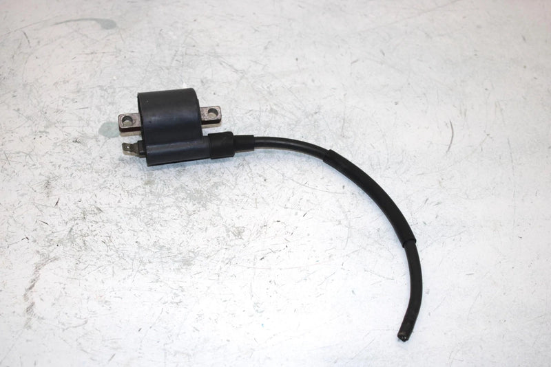 96 Suzuki King Quad 300 Ltf4wdx Oem Ignition Coil 33410-01X50 AS21