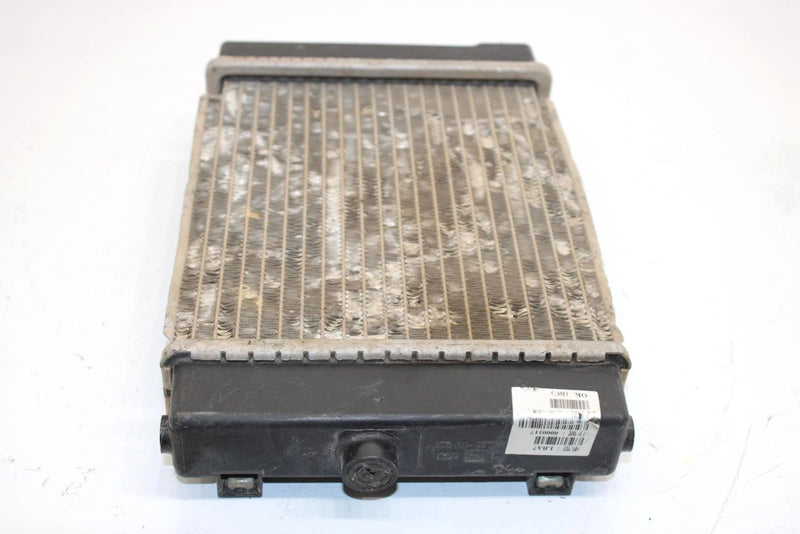 08 Arctic Cat Atv 250 Utility 2x4  Oem Radiator 3303-737 AA13