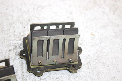 1997 Arctic Cat Tigershark Monte Carlo Oem Reed Valve Pair 3008-534 JA12