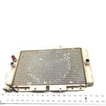 06-09 Yamaha Rhino 450 YXR450FA 4x4 OEM Radiator  5UG-E2461-00-00 XY2
