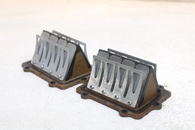 Polaris Oem Intake Reed Valve (Pair) 1201843 Q1170