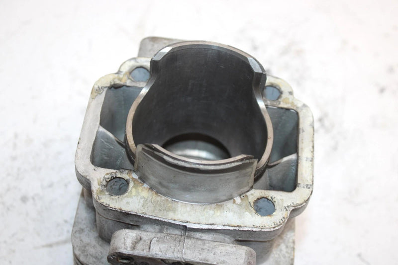 99 Arctic Cat Panther 440 Oem 65mm Bore Cylinder (No Studs) 3005-001 SA29