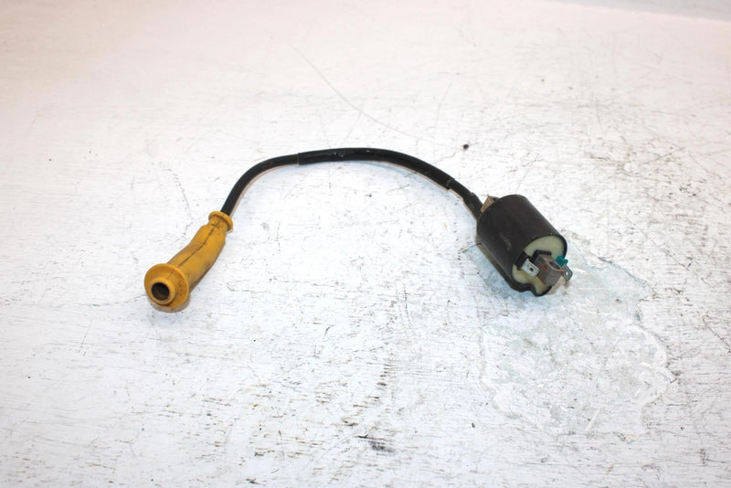 2019 Honda Trx500fe2ac Oem Ignition Coil 30510-HR3-A21 AH12