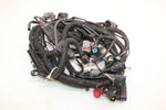 07 Arctic Cat Jaguar Z1 1100 Efi Oem Main Wire Harness 1686-375 SA301.1