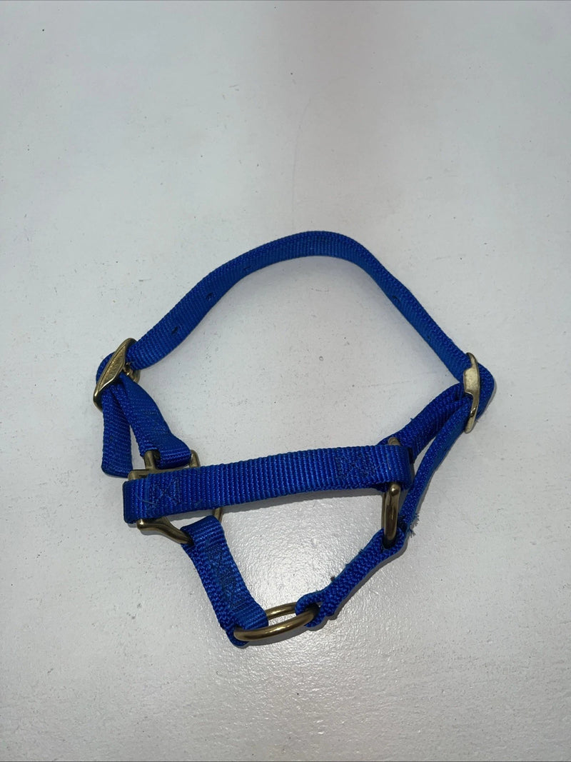 New Fabtron Blue Nylon Sheep Halter #NP121-2 3C-19