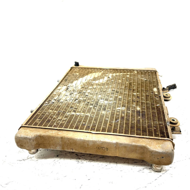 02-04 Polaris Sportsman 700 OEM Radiator 1240534 AP190