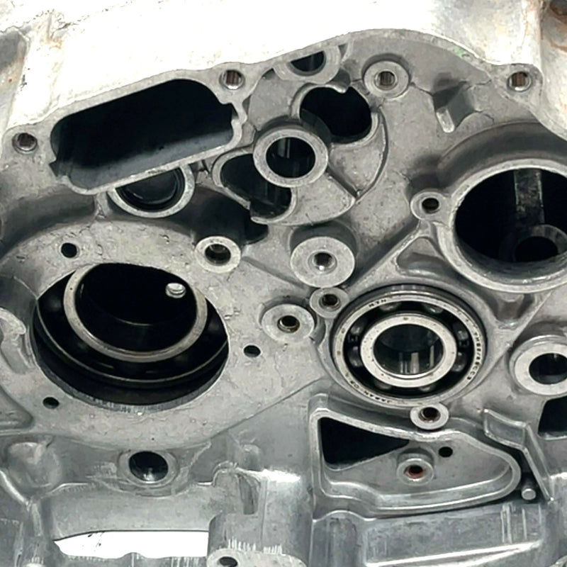 93-06 Honda Sportrax 300 TRX300EX 2x4 OEM Crankcase 1200-HM3-671 AH81