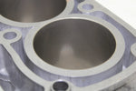 05 Polaris Sportsman 700 EFI OEM Cylinder 2203911 AP109