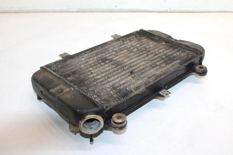 96 Kawasaki Bayou 400 4x4 Oem Coolant Radiator 39060-1110 AK11