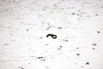 2001 Ski-doo Mxz 800 Oem Needle Retainer 404161919 SS19