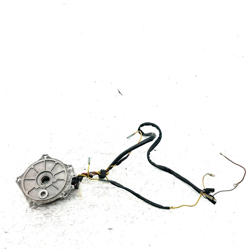 00-02 Polaris Sportsman 500 OEM Stator W/Plate 3086984 AP220
