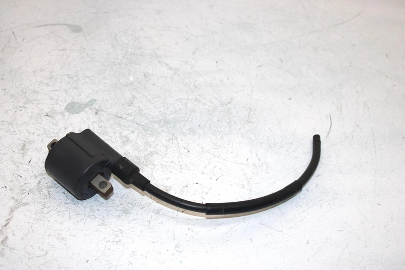 96 Suzuki King Quad 300 Ltf4wdx Oem Ignition Coil 33410-01X50 AS21