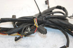 95 Arctic Cat Zrt 800 Oem Main Wire Harness 0686-268 SA155