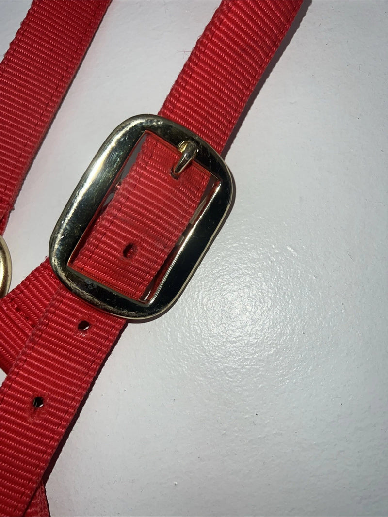 New Tex Tan Red Nylon Horse Halter Full #0723832 LLL-600