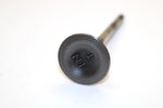89 Suzuki Quadrunner 160 LT160E 2x4 OEM Intake Valve 12911-02c00 AS16