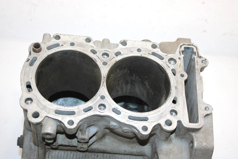 12 Arctic Cat F1100 Lxr Efi Oem Crankcase Assembly 3007-854 SA41