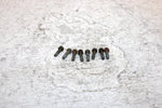 1995 Arctic Cat Z 440 Oem Float Bowl Screw Set Of 8 6505-014 SA13