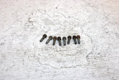 1995 Arctic Cat Z 440 Oem Float Bowl Screw Set Of 8 6505-014 SA13