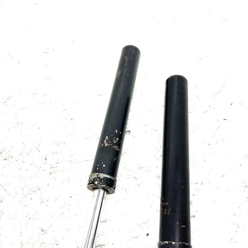95-98 Polaris Magnum 425 4X4 OEM Front Strut Pair 2201460 AP232