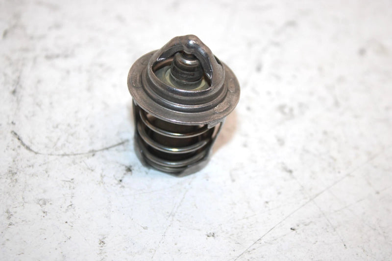 2005 Bombardier Rally 175 Oem Thermostat A19310179000 AB8