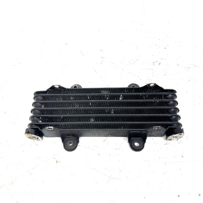 2000 Suzuki King Quad 300 4x4 OEM Oil Cooler Radiator 16650-44B00 AS34