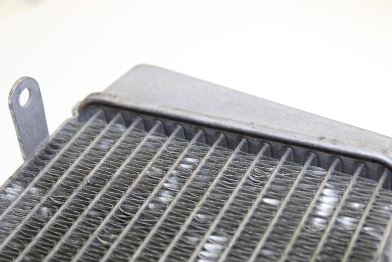 Yamaha Oem Engine Radiator 8GS-12461-00-00 Q4235
