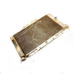 2004 Yamaha Rhino 660 OEM Radiator 5UG-E2461-00-00 XY3