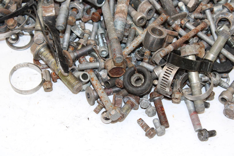 2004 Kawasaki Kfx 700 Oem Nut Bolt Spacer Hardware Kit AK30