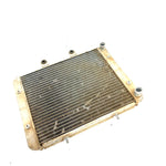 2010 Polaris RZR 800 EFI OEM Radiator 1241480 XP8