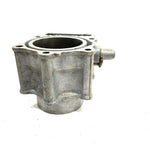 2007 Arctic Cat 700 4x4 Automatic EFI OEM 102mm Bore Cylinder 3403-214 AA33