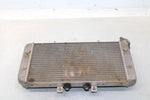 2006 Polaris Outlaw 500 Oem Radiator 1240222 2203783 AP4